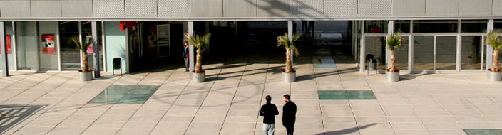 Requisitos previos para el acceso al titulaciones de Mster. Universidad Politcnica de Cartagena