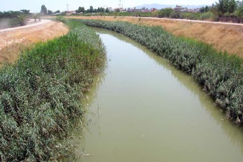 El río Segura a su paso por el Rincón de Beniscornia.