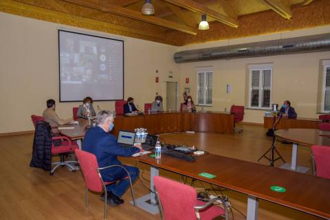 Asistentes presenciales y virtuales en el Consejo Social de ayer, con el vicerrector de Economía en primer término.