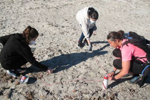 Recogida de microplásticos en la playa de Torre Derribada, a finales del pasado mes de enero.