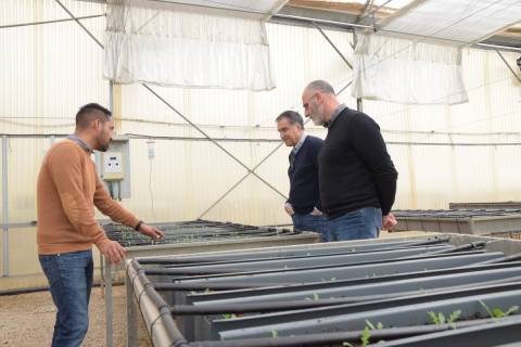 Víctor Gallegos, Juan Antonio Fernández y Angelo Signore en el invernadero donde están cultivando rúcula.