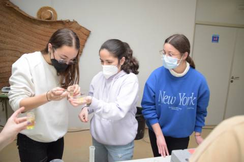 Alumnas recogiendo el caviar de naranja elaborado.