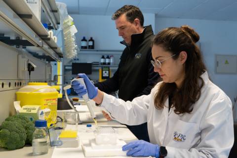 Noelia Castillejo y Francisco Artés Hernández en un laboratorio de investigación agronómica.