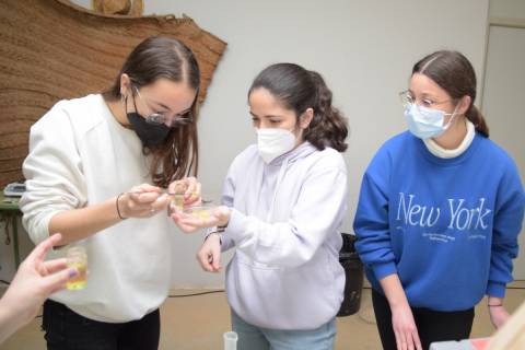 Alumnas preuniversitarias durante unas prácticas de las Rutas Biotecnológicas de este año en la UPCT.