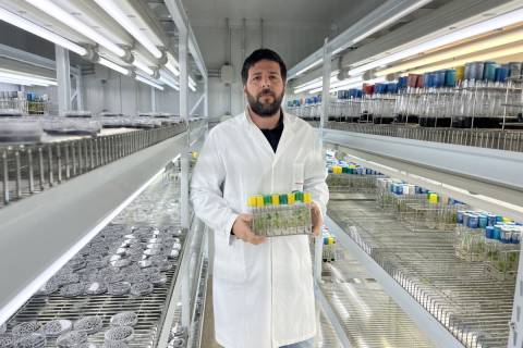 Pablo Crespo en un laboratorio del IMIDA.