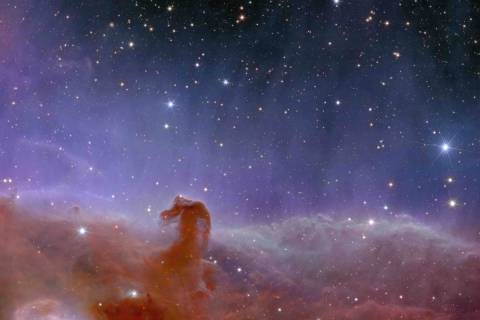La nebulosa Cabeza de Caballo. Créditos: ESA/Euclid/Euclid Consortium/NASA.