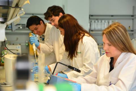 Imagen de archivo de investigadores predoctorales realizando análisis en el IBV.