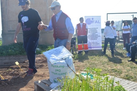 Un voluntario acompaña a un enfermo de Alzheimer a realizar una plantación en la Estación Agroalimentaria Experimental Tomás Ferro.