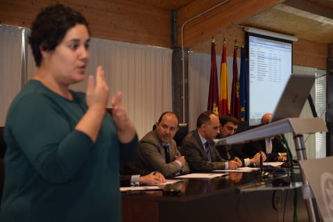 Una intérprete en lengua de signos, durante la reunión.