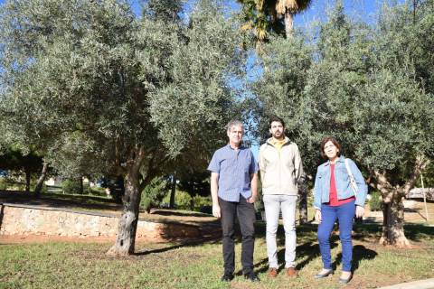 El alumno y sus directores de TFG junto a un olivo en el parque de Los Juncos.