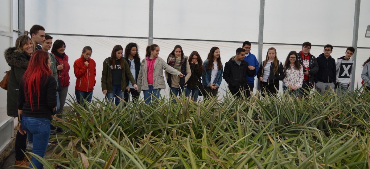Estudiantes de Bachillerato realizan talleres y experimentos de divulgación agroalimentaria en la UPCT