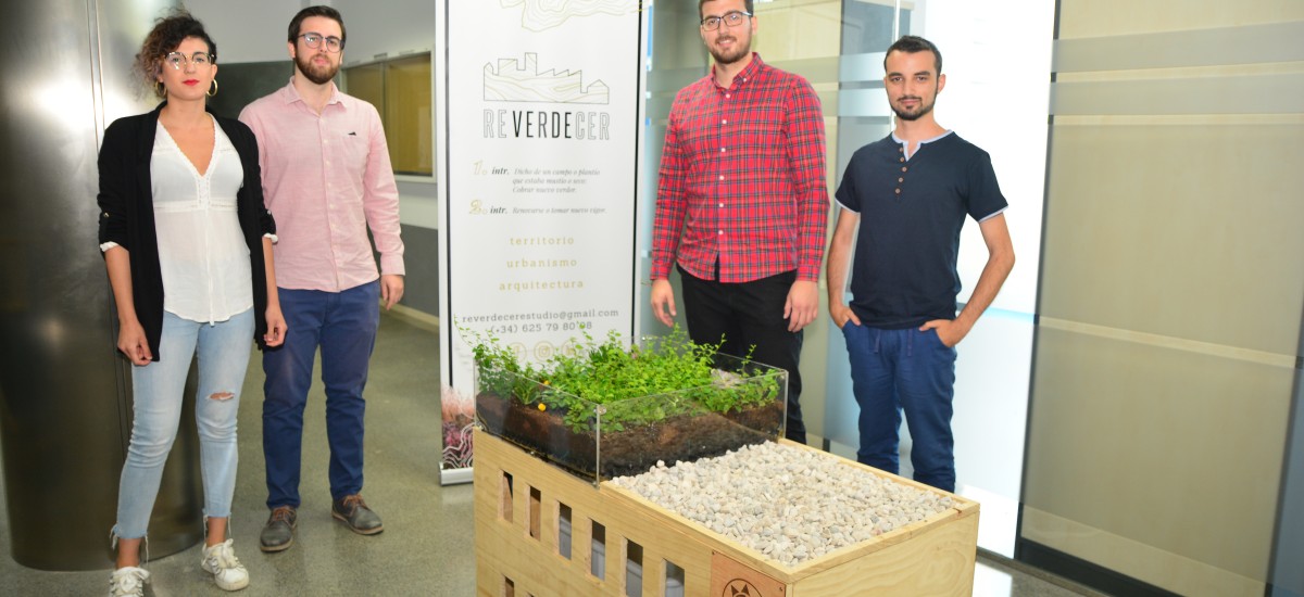 Cuatro arquitectos por la UPCT crean una empresa de cubiertas vegetales e infraestructuras verdes