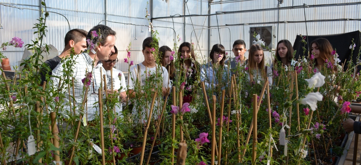 Seminario sobre el sistema inmunológico de las plantas