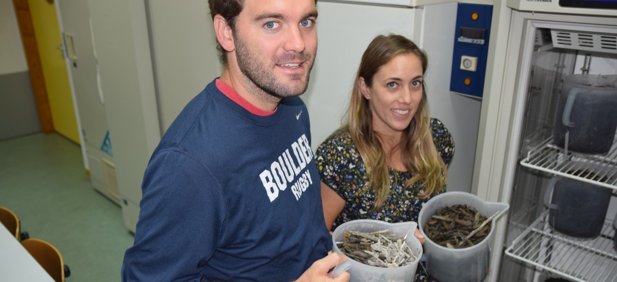 Premio a dos jóvenes investigadores de la Cátedra de Agricultura Sostenible