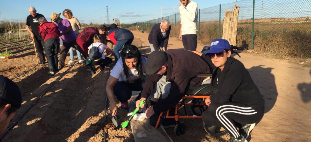 AFAL prepara la cosecha de otoño en la Finca Tomás Ferro