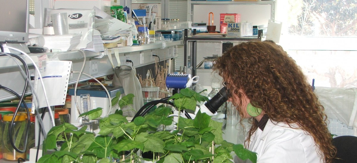 Los retos de la agricultura del futuro en una jornada nacional de AgroBank y la UPCT