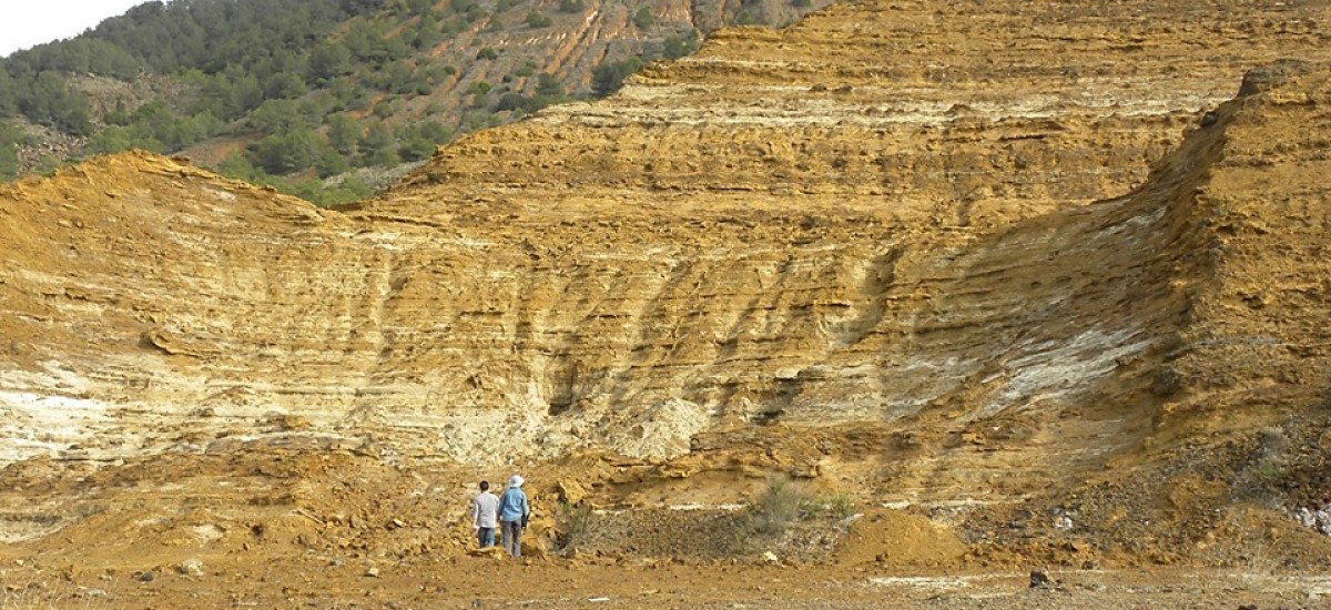 Investigadores de la UPCT crean 'tecnosuelos' para recuperar suelos mineros inmovilizando metales pesados y reduciendo su toxicidad
