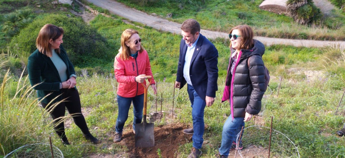 Agrónomos de la UPCT multiplican por 200 la población de jara de Cartagena