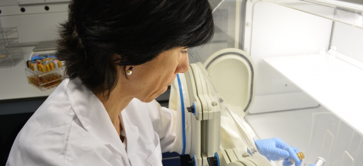 El Ministerio de Ciencia incorpora a la UPCT para hacer pruebas PCR
