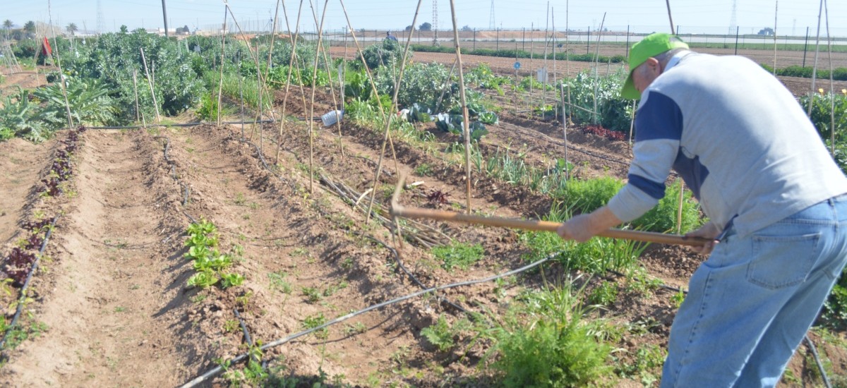 Devolución de parte de la matrícula de los Huertos de Ocio por su suspensión a consecuencia del coronavirus