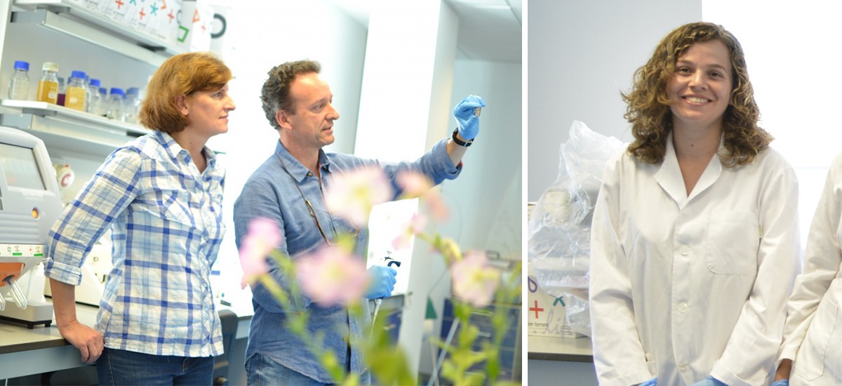 Una doctoranda de la UPCT determina cómo las plantas coordinan el olor que emiten al medio ambiente