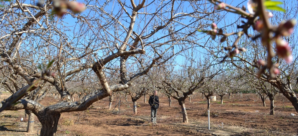 Operador agroambiental, nueva salida laboral para los agrónomos