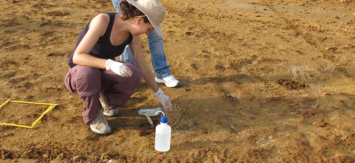 El cambio climático podría acentuar el riesgo de ecotoxicidad de los suelos contaminados de la Sierra Minera que tengan un pH ácido