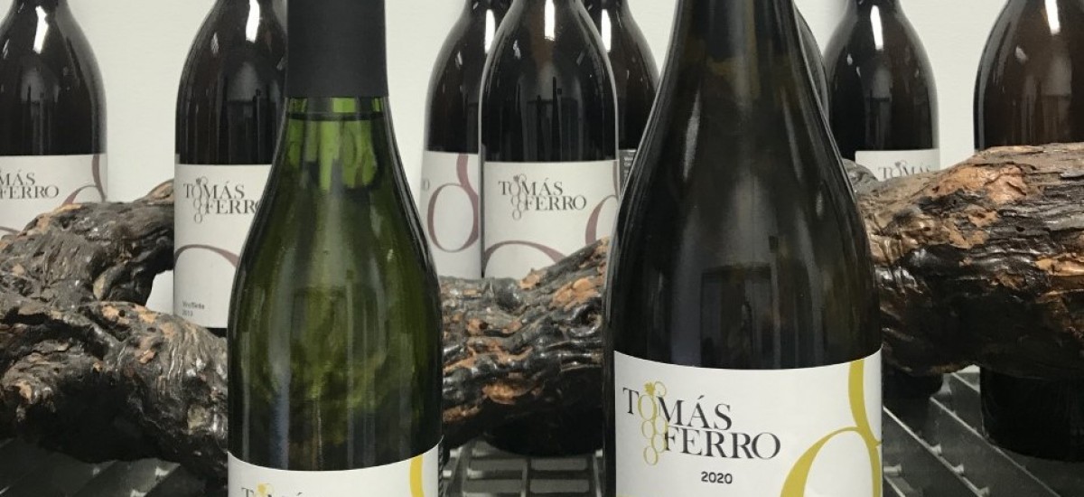 Agrónomos elabora por primera vez una edición limitada de vino dulce de Merseguera