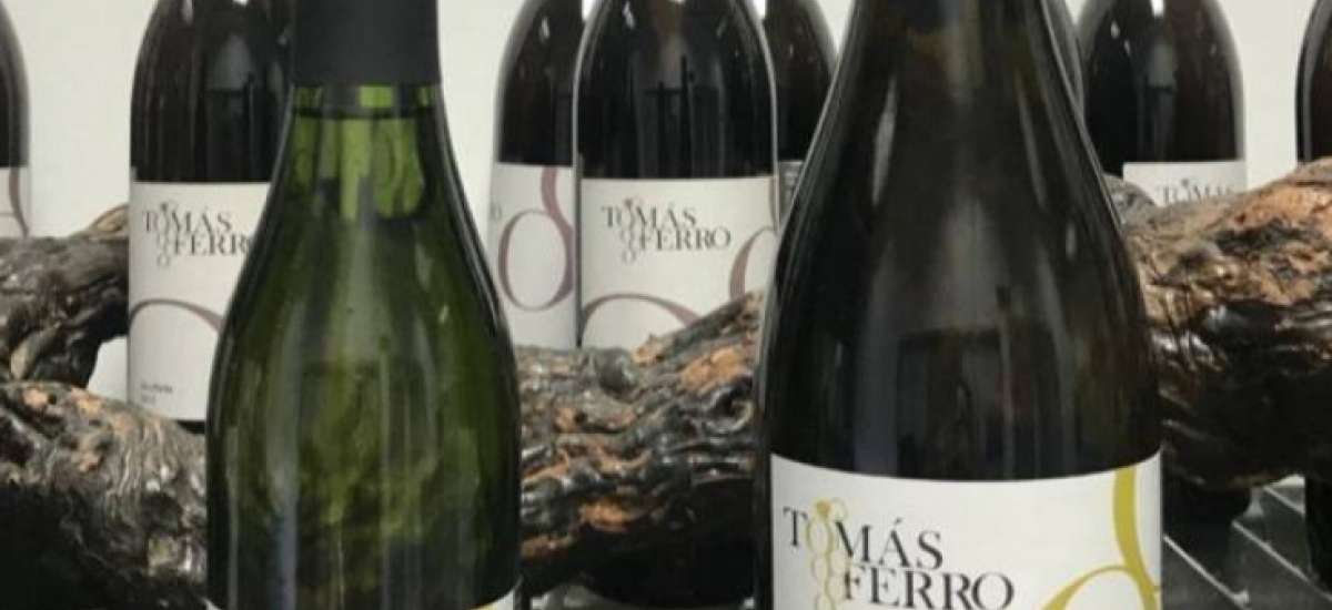 Arantxa Aznar describe en Onda Regional el nuevo vino dulce Tomás Ferro elaborado por la UPCT