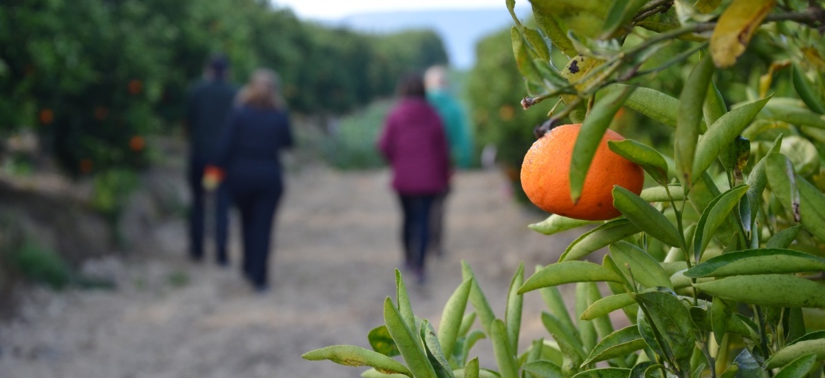 Expertos en economía agroalimentaria presentan en la UPCT los últimos avances en sistemas agroalimentarios sostenibles