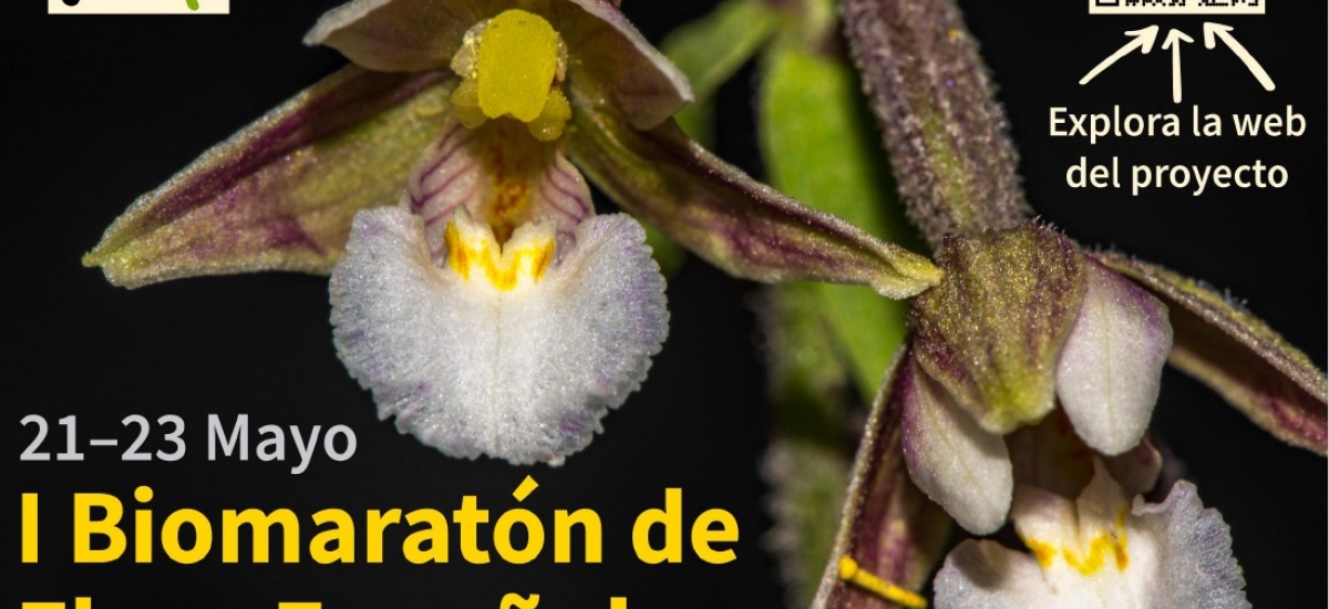 Biomaratón de flora por el Día Internacional de la Fascinación por las Plantas