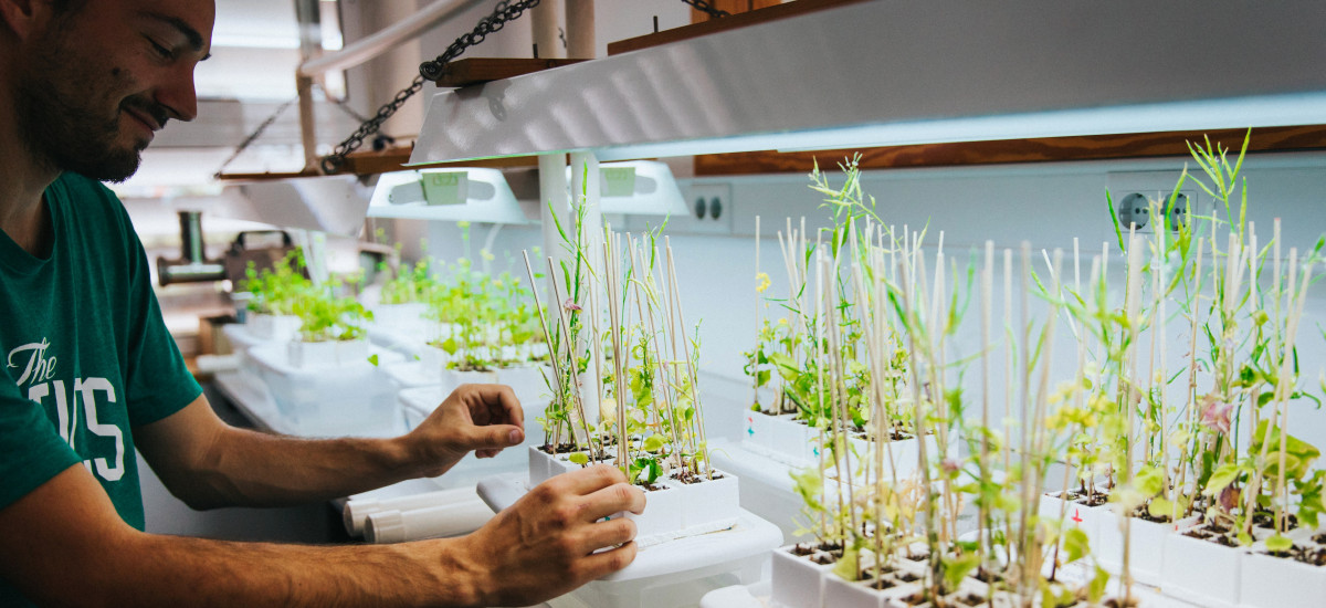 Imagen El Ránking CyD reconoce a la UPCT como una de las cinco mejores universidades de España donde estudiar Ingeniería Agronómica