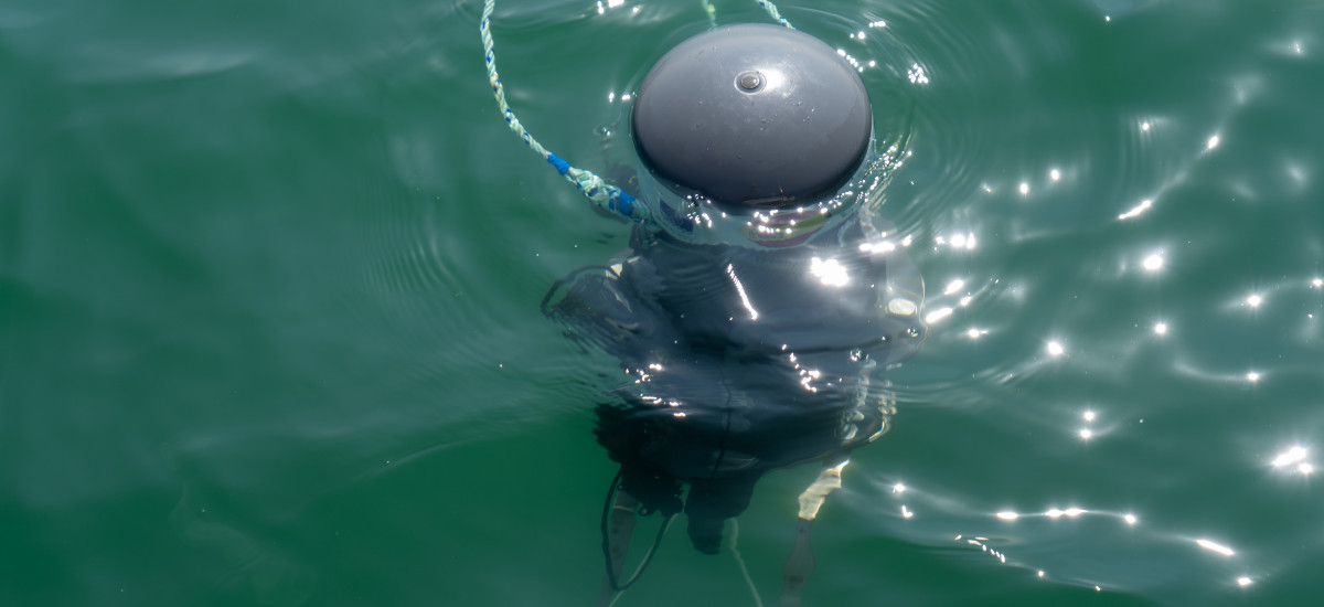 Imagen Una boya submarina comunica, a diario y a diferentes profundidades, el estado de las aguas del Mar Menor