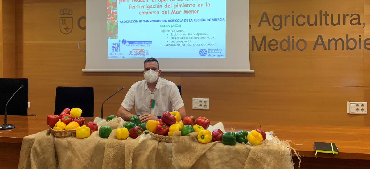 Presentan a agricultores la eficacia del sulfato cálcico para la fertirrigación sostenible del pimiento en la comarca del Mar Menor