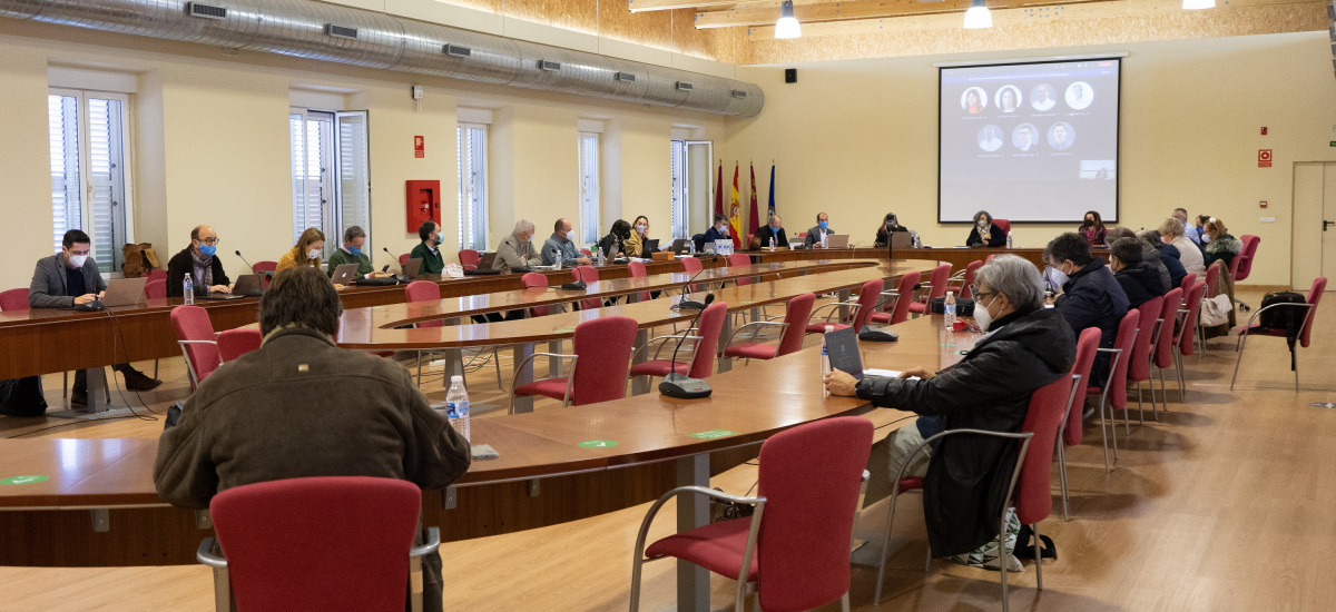 Aprobados en el Consejo de Gobierno diez recorridos sucesivos de grado y m&aacute;ster