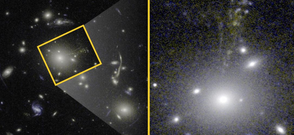 Apodan &lsquo;Caballito de mar c&oacute;smico&rsquo; a una galaxia similar a la V&iacute;a L&aacute;ctea en el Universo primitivo