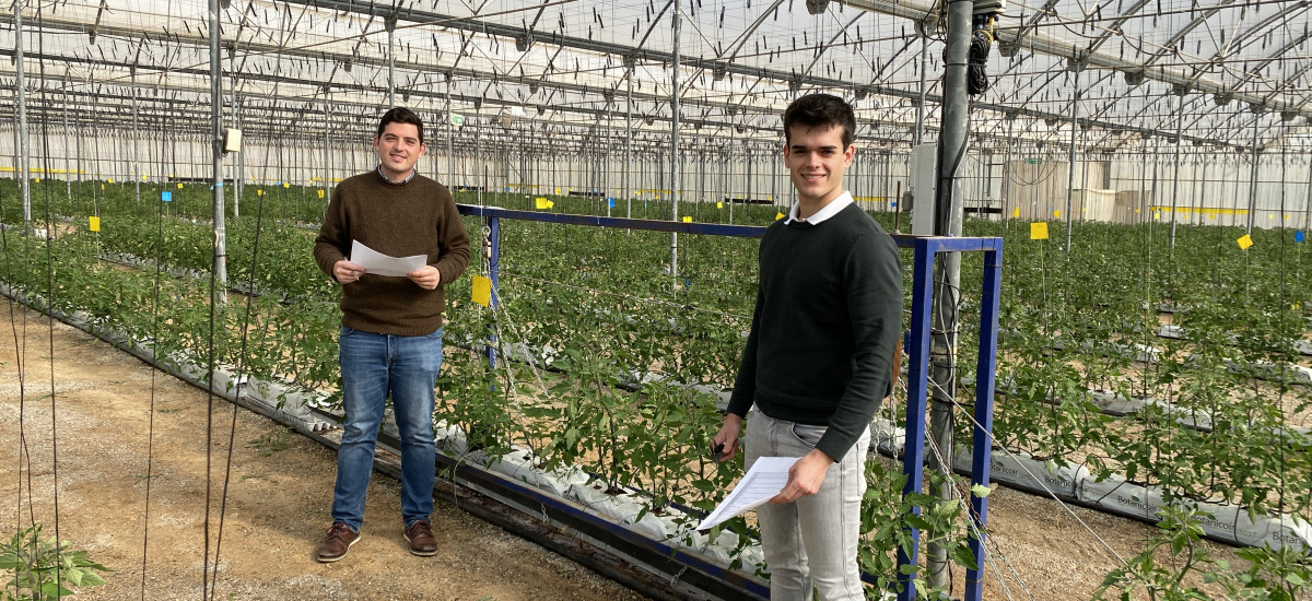 Estudiantes del Máster en Industria 4.0 aportan inteligencia artificial y robótica a la producción de tomate