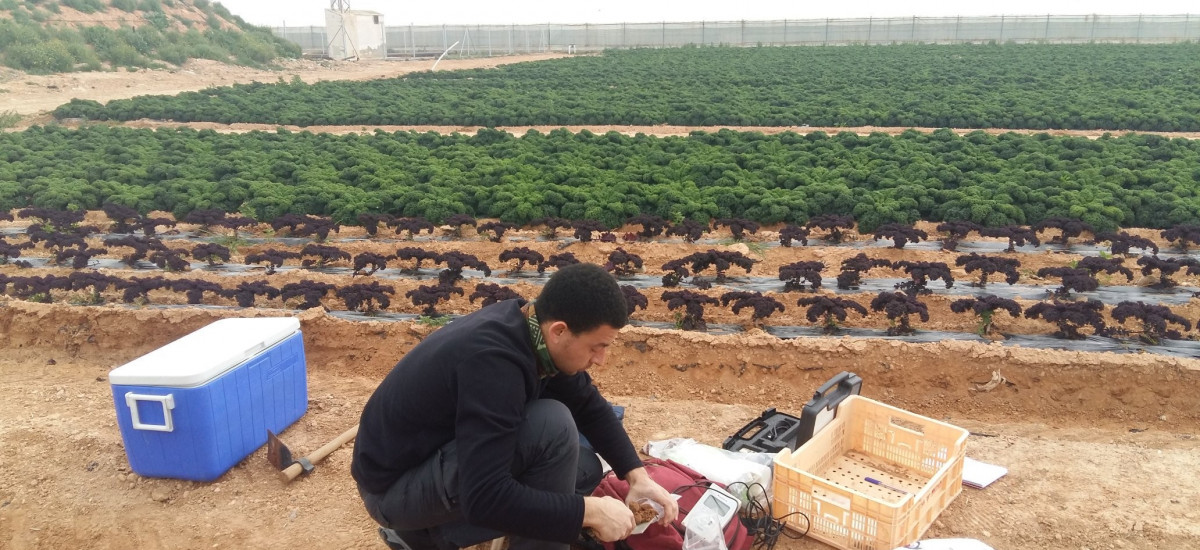 La comunidad bacteriana del suelo responde a la aplicación de compost con beneficios agrícolas y medioambientales