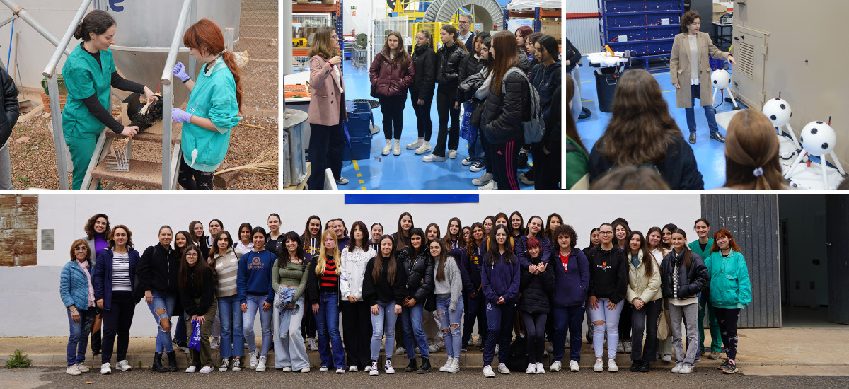 Imagen Alumnas de ESO y Bachillerato visitan las instalaciones de SAES y la finca Tomás Ferro de la UPCT