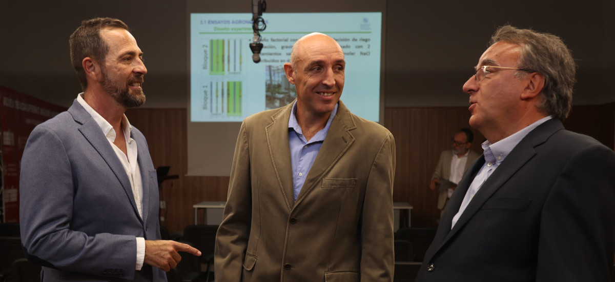 Una tesis industrial hace accesible al pequeño agricultor el riego inteligente para cultivos sin suelo