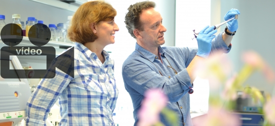 La revista internacional Nature Plants publica una investigación genética de la UPCT