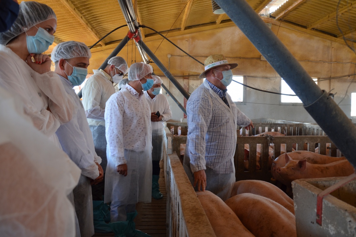 Imagen de una visita, en junio, a una granja porcina tras la firma de la cátedra con el Ayuntamiento de Fuente Álamo.