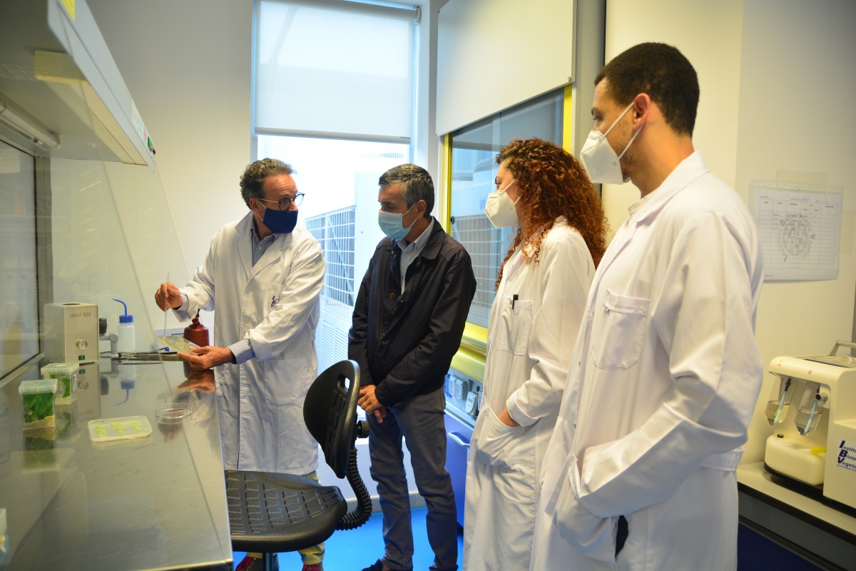 Sánchez Palma, con chaqueta, visitando el Instituto de Biotecnología Vegetal de la UPCT.