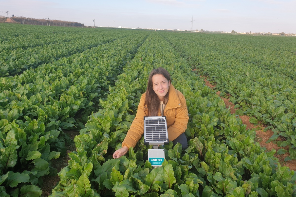 Sofía Leal en uno de los campos de cultivo que monitoriza con sensores como los que aprendió a a manejar durante las prácticas.