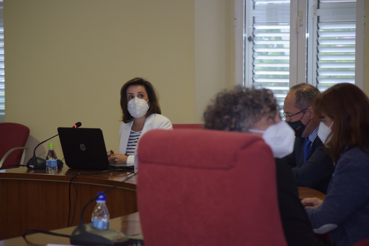 La vicerrectora de Investigación, Catalina Egea, explicando el Plan de apoyo a la I+D+i.