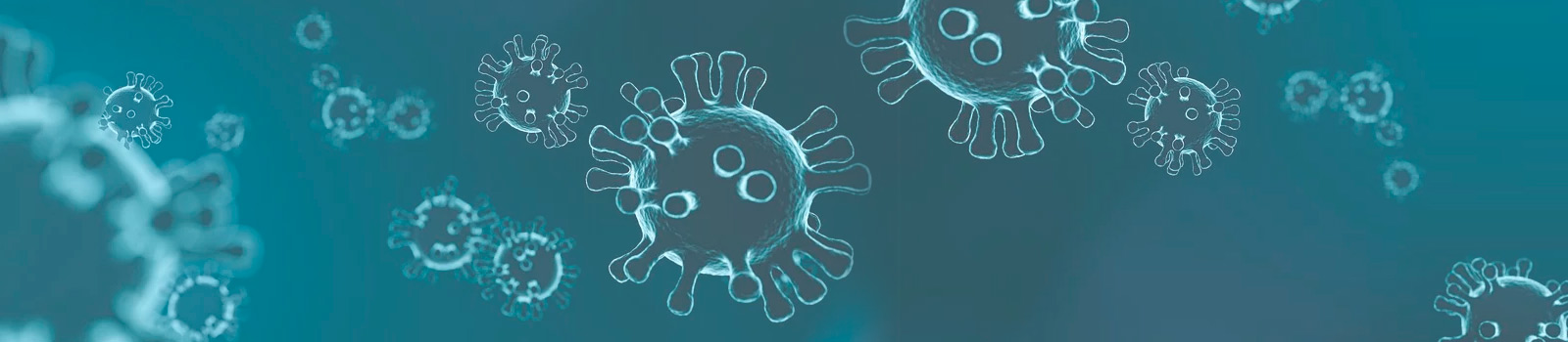 Información sobre el coronavirus