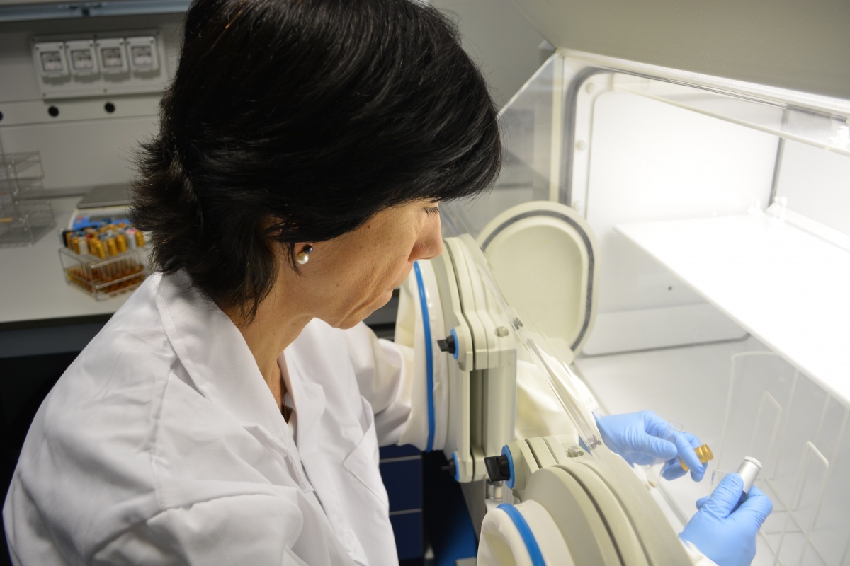 foto: Il Ministero della Scienza incorpora la UPCT per eseguire i test PCR