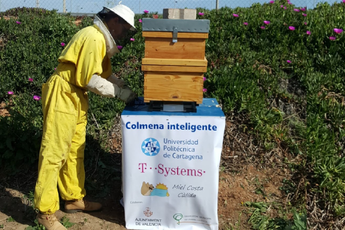 foto: Alveari intelligenti per monitorare il comportamento delle api e garantirne la sopravvivenza