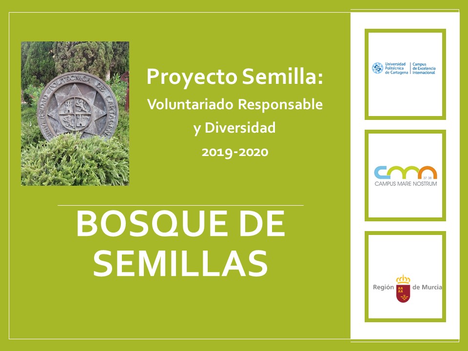 foto: Bosque de Semillas. Proyecto Desarrollado Grupo Voluntarios UPCT en tiempos de COVID-19