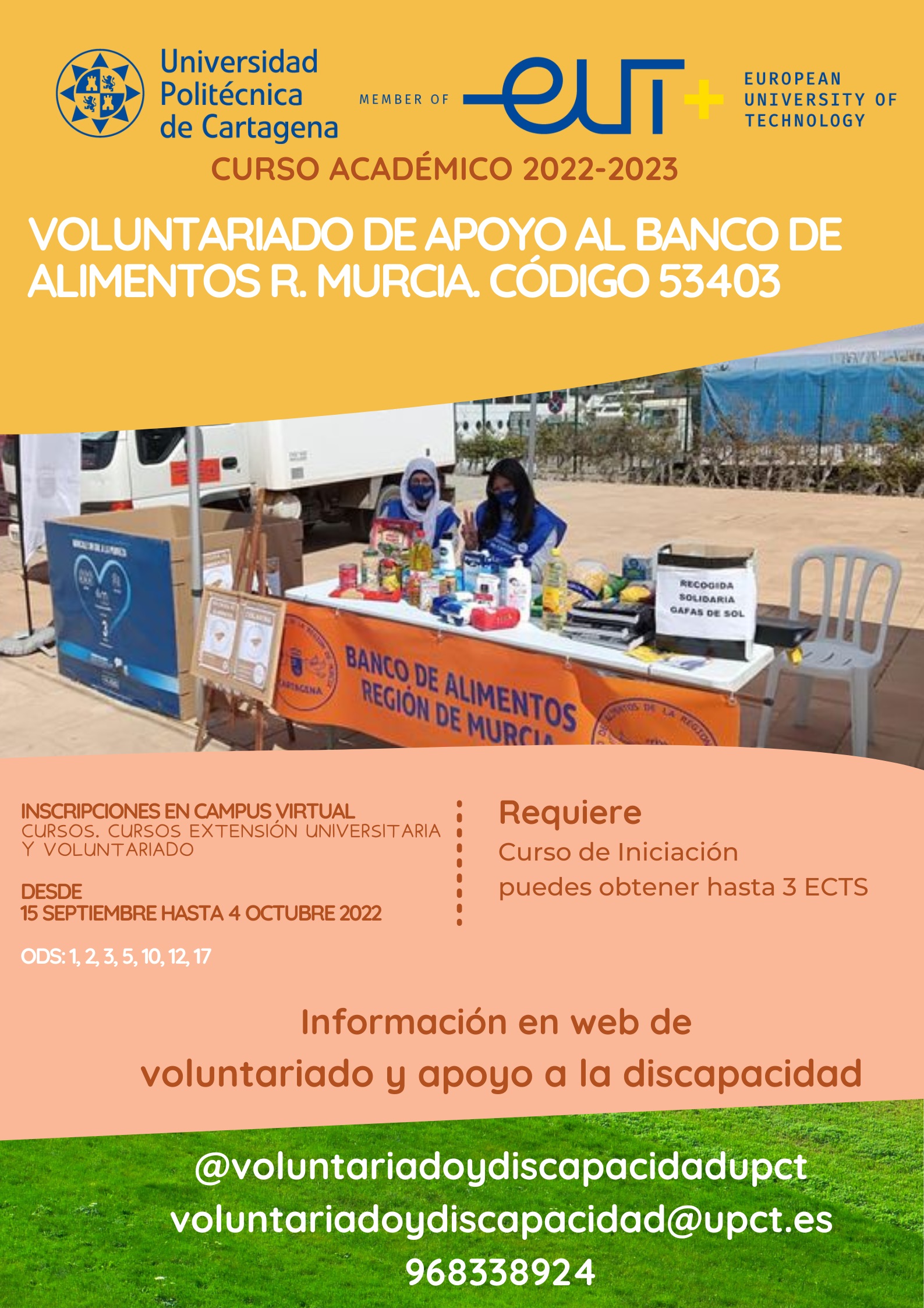 foto: Voluntariado de apoyo al Banco de Alimentos Región de Murcia . 53403